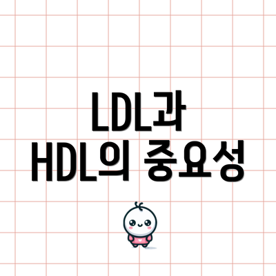 LDL과 HDL의 중요성