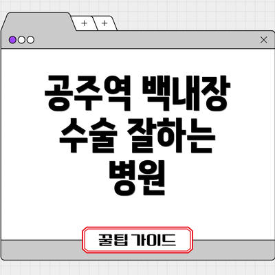 공주역 백내장 수술 잘하는 병원