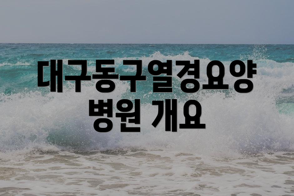 대구동구열경요양병원 개요