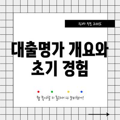 대출명가 개요와 초기 경험