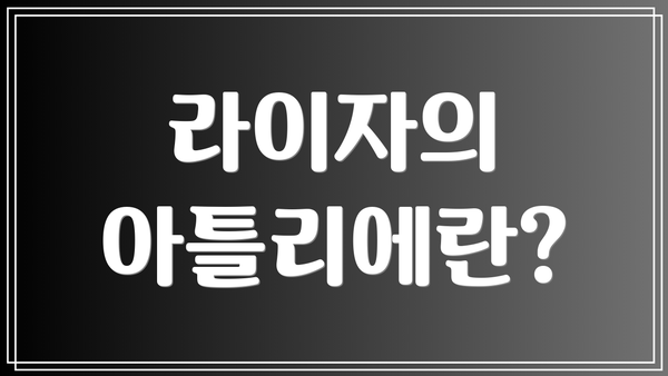 라이자의 아틀리에란?