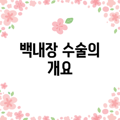 백내장 수술의 개요