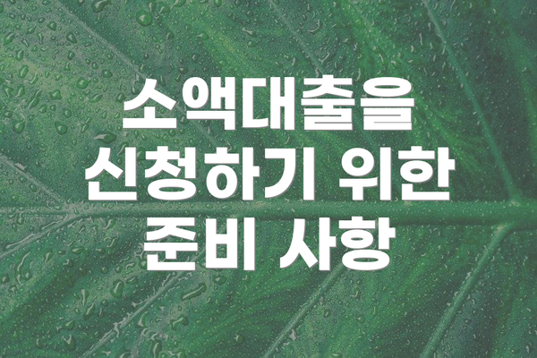 소액대출을 신청하기 위한 준비 사항