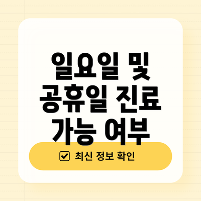 일요일 및 공휴일 진료 가능 여부