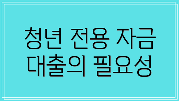 청년 전용 자금 대출의 필요성