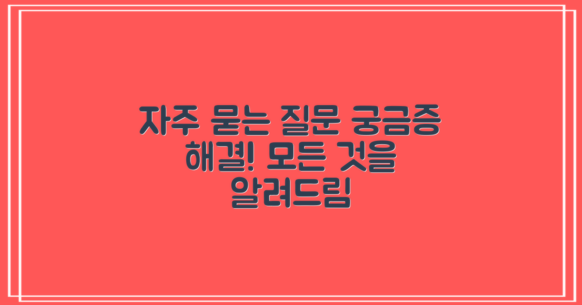 자주 묻는 질문