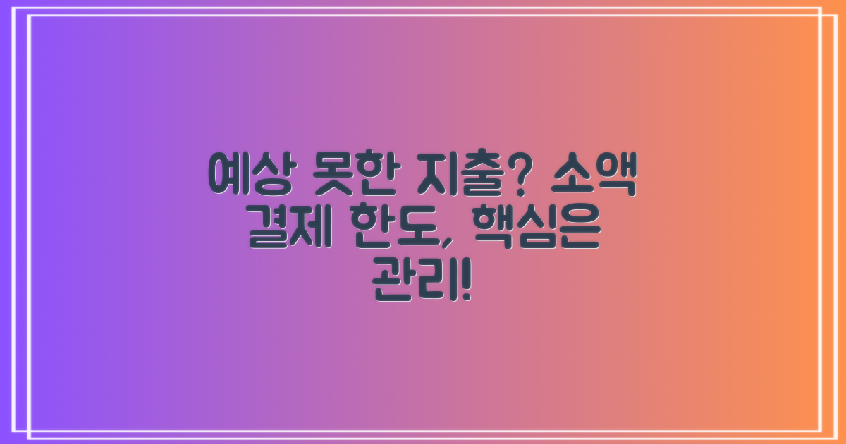 예상치 못한 지출, 소액결제 한도 관리가 필수인 이유