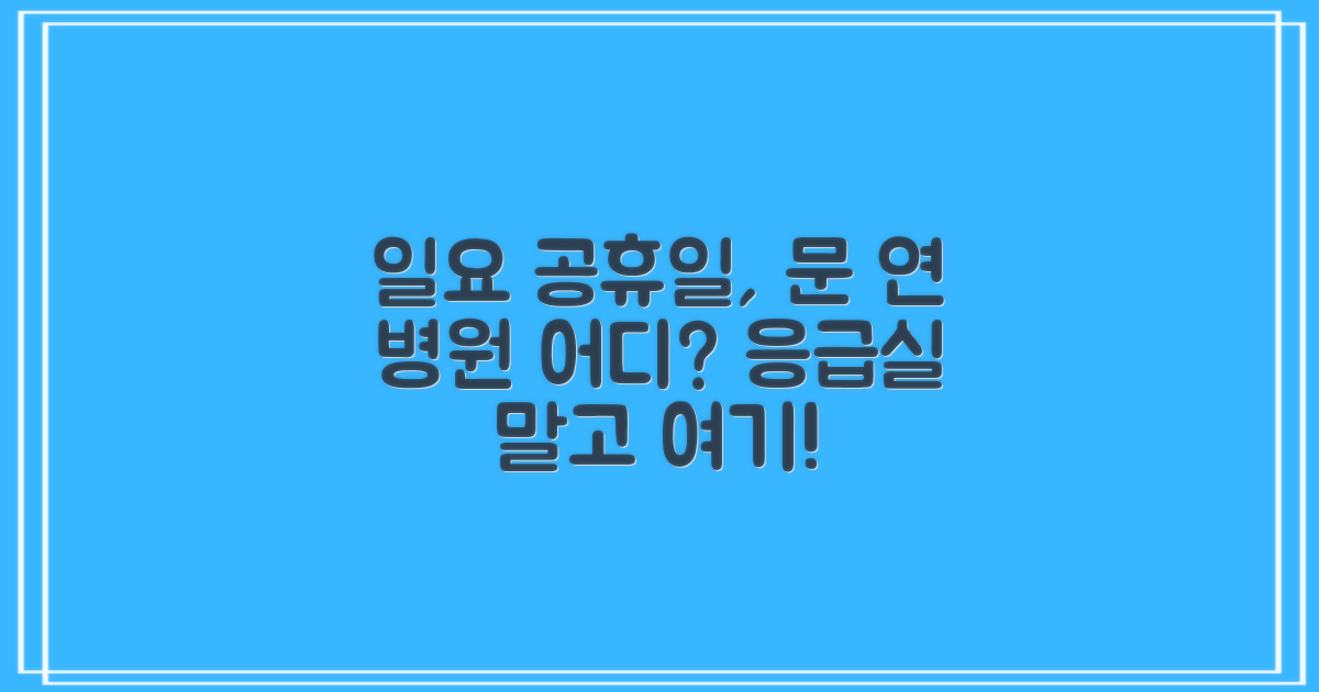 일요일, 공휴일 진료, 어디가 좋을까요?