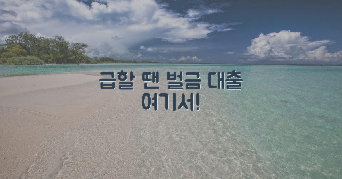 급할 때, 벌금 납부 대출 가능한 곳은?