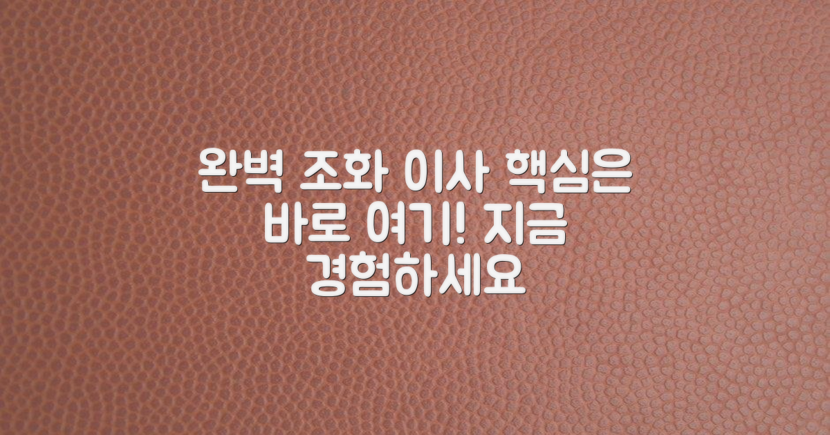 포장이사, 완벽 조화 경험하세요!