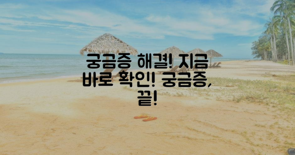궁금증, 지금 바로 해결하세요