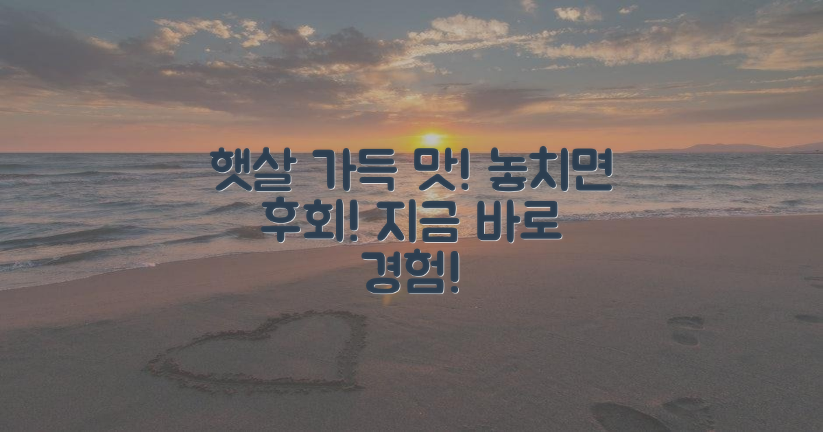 햇살 담은 맛, 경험하세요