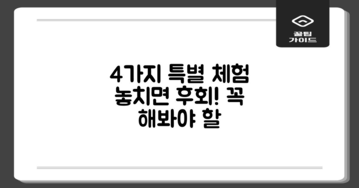 4가지 특별 체험
