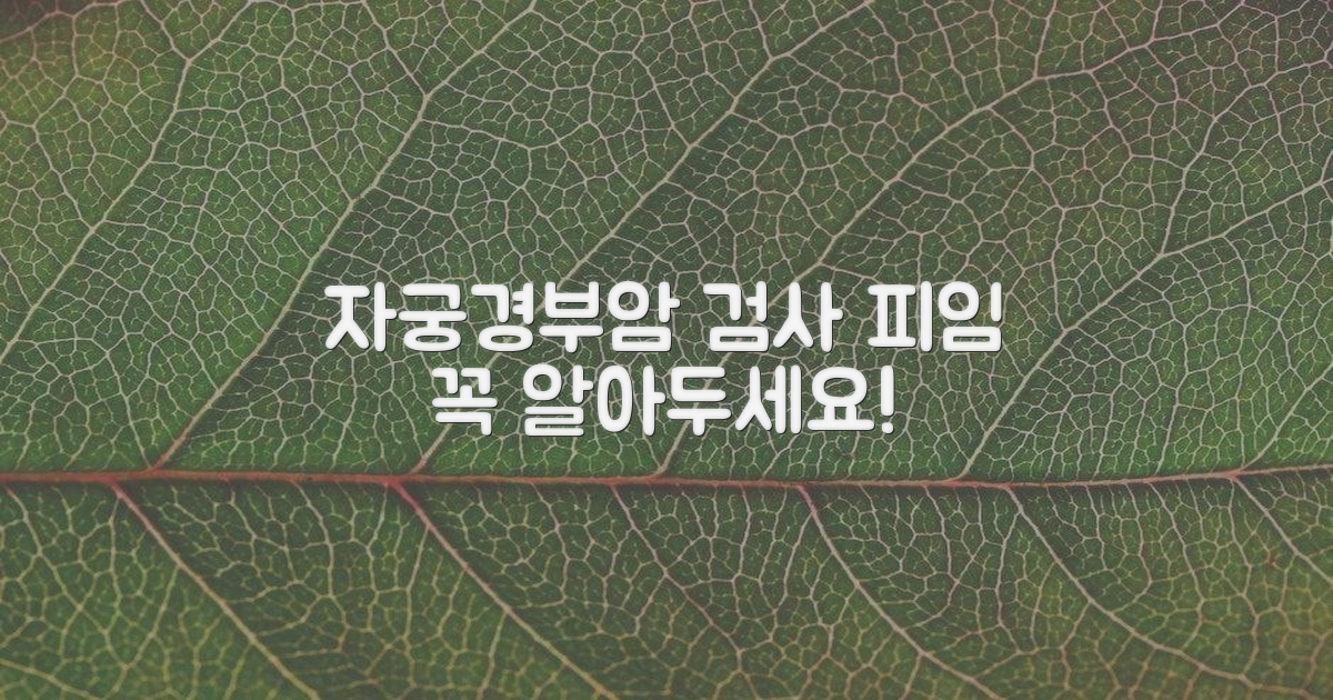 자궁경부암 검사, 피임 정보