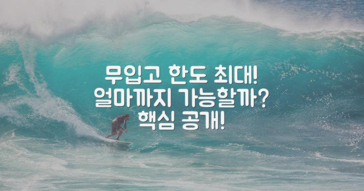 무입고, 한도 최대는 얼마?