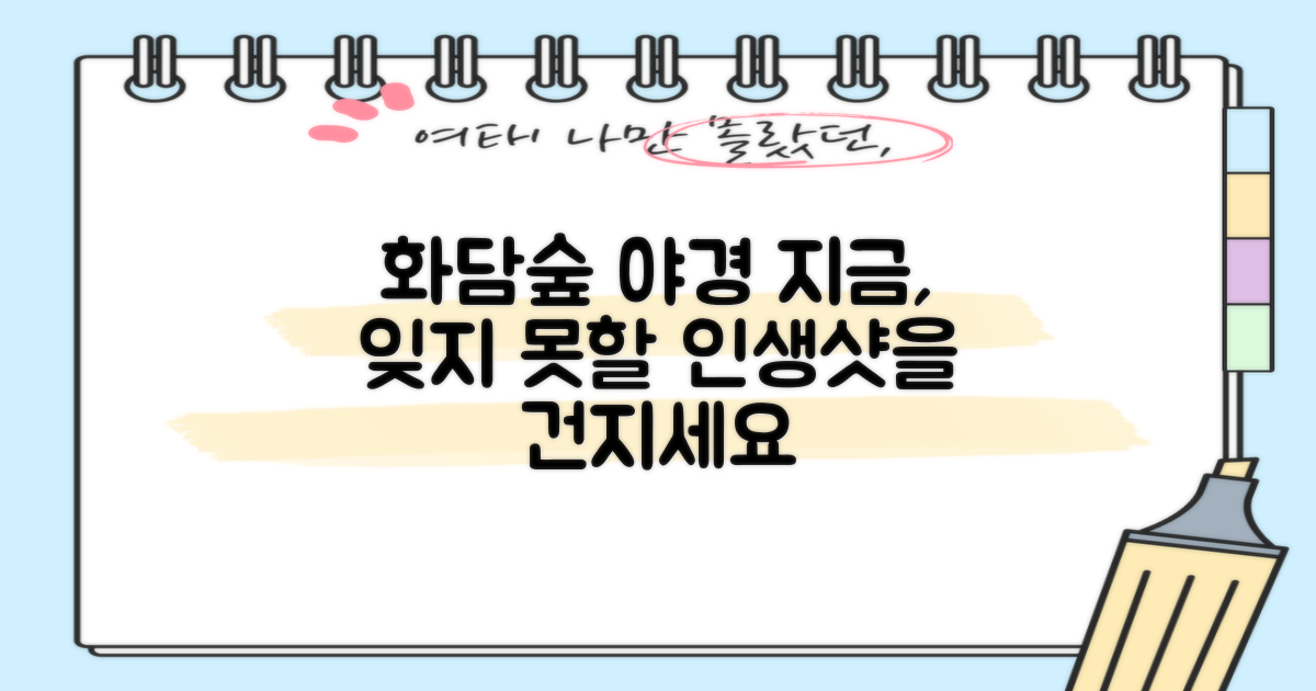 지금 화담숲 야경을 경험하세요