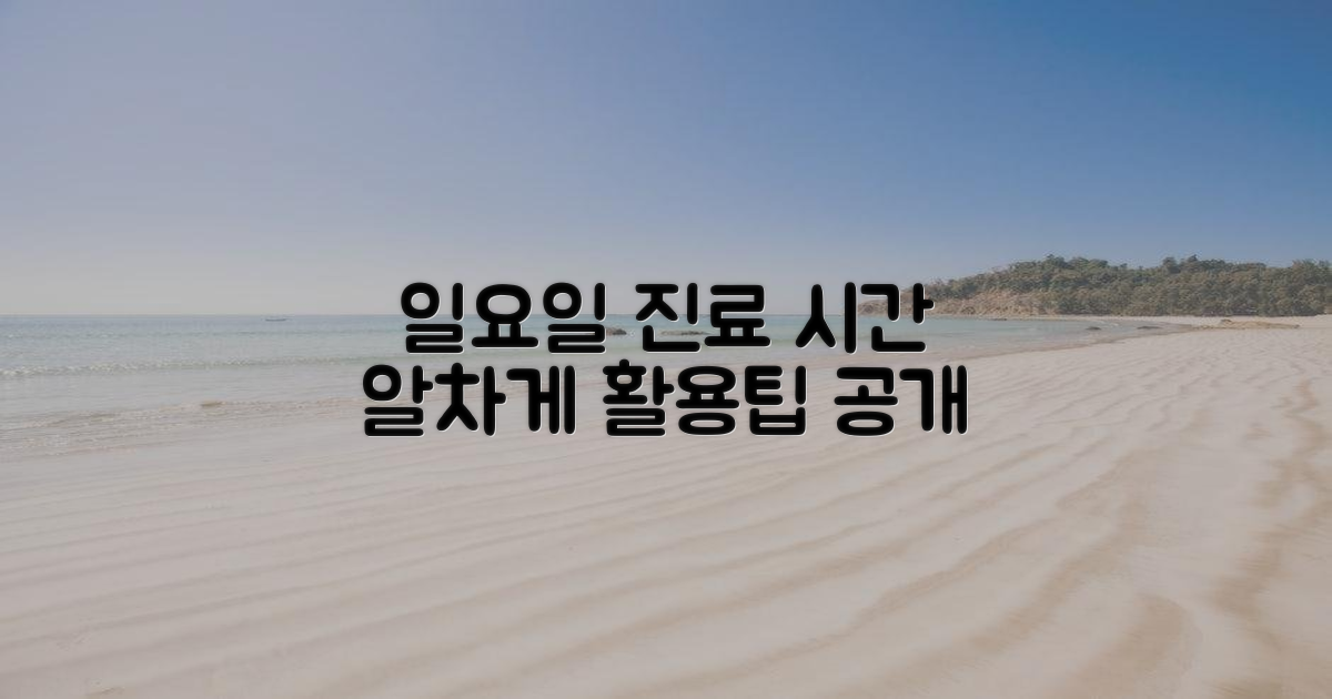 일요일 진료, 시간 활용법