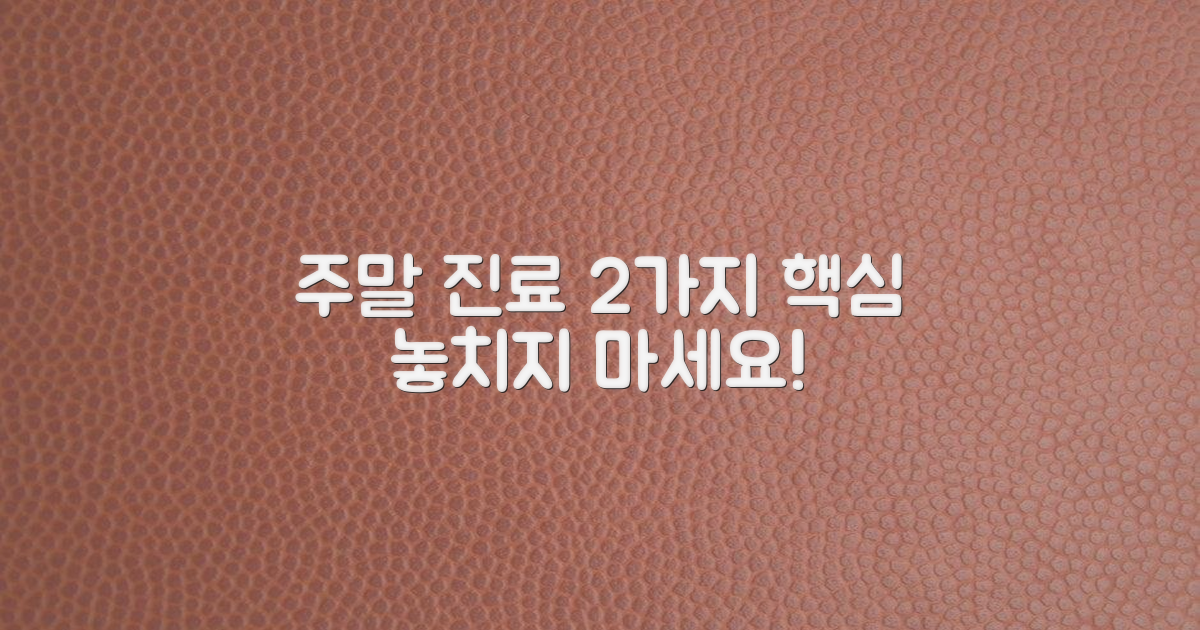 2가지 주말 진료