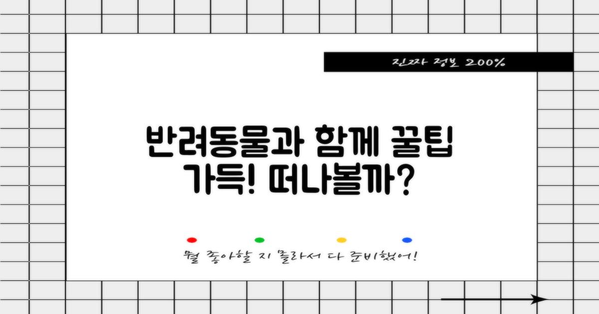 반려동물 동반 꿀팁 얻어가기