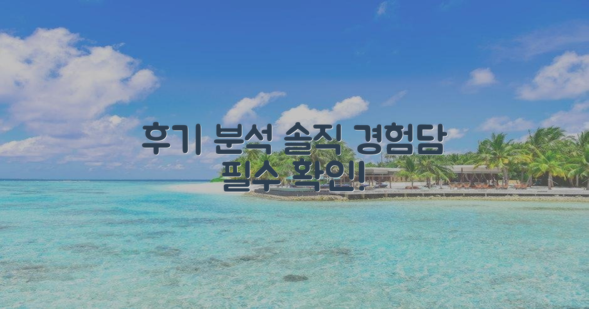 후기 분석: 솔직 경험담