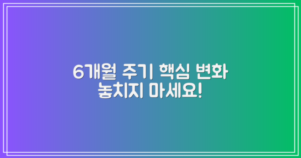 6개월 간격 업데이트