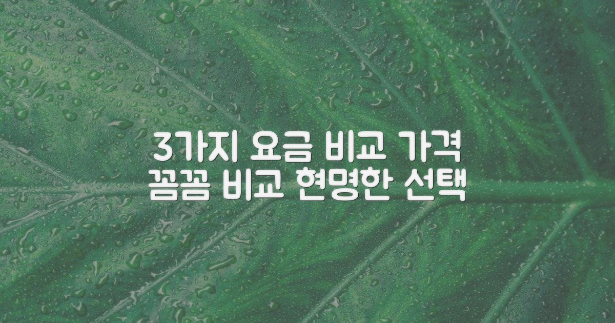 3가지 요금 비교