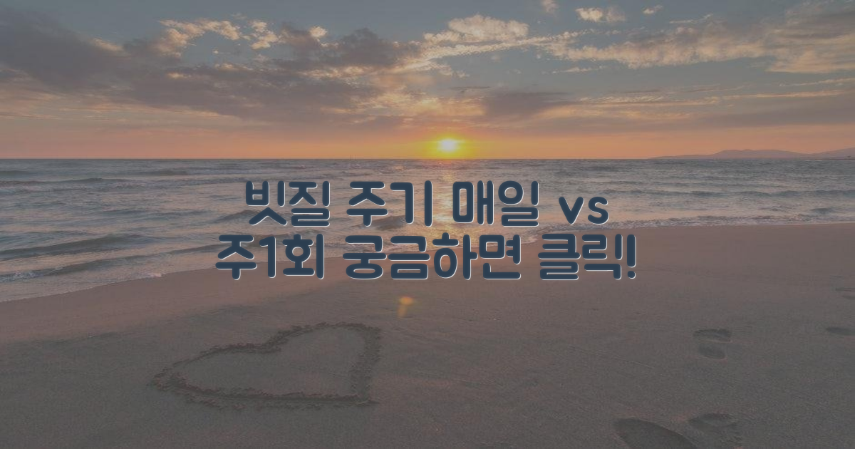 빗질: 매일 vs 주 1회