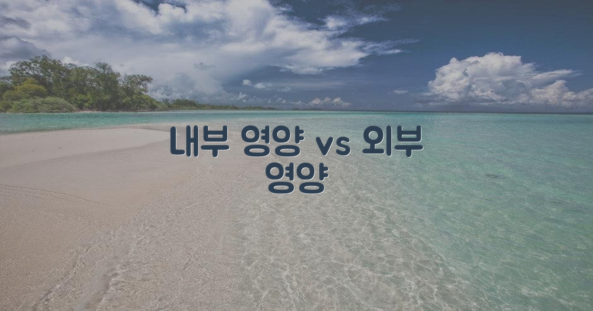 영양: 내부 vs 외부