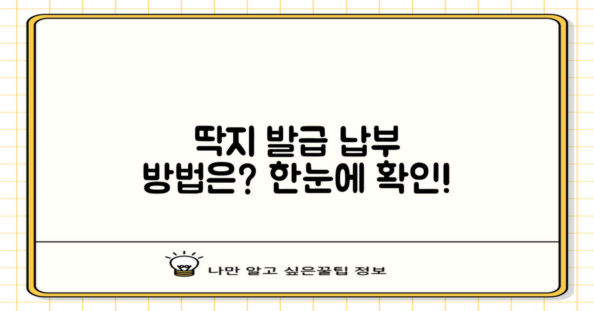 딱지 발급, 납부는 어디서?