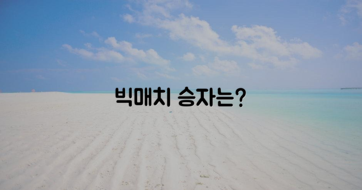 경쟁 구도, 승자는 누구?