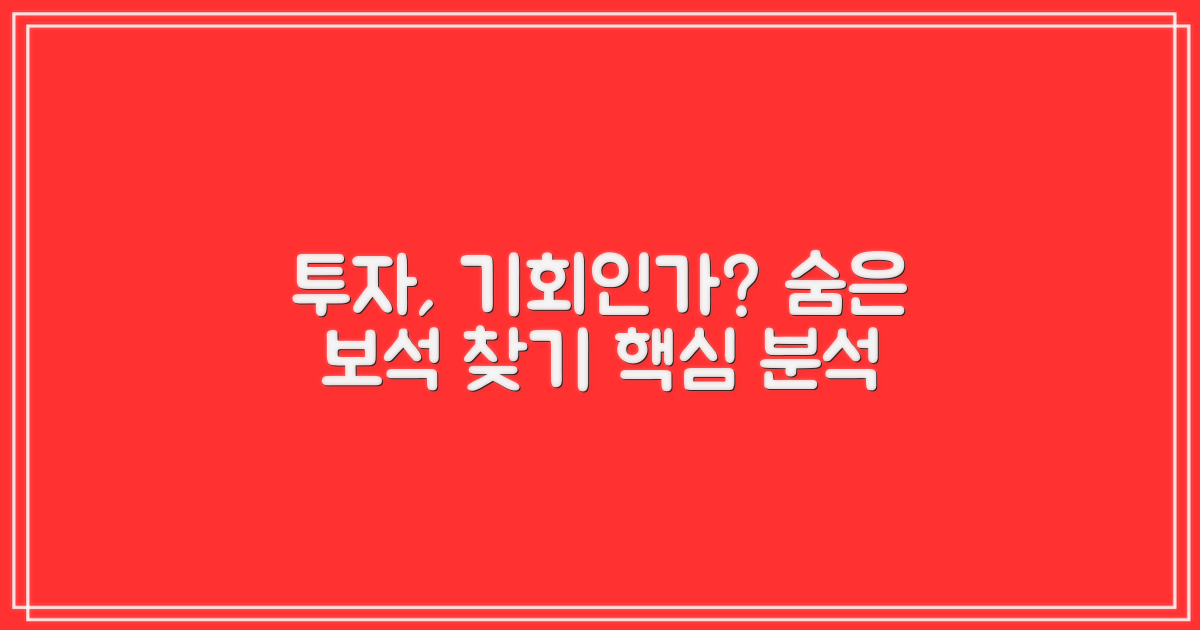 투자 분석: 매력적인 기회인가