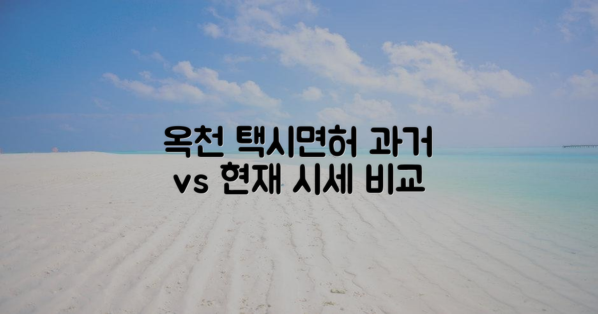 옥천읍 택시면허: 과거 vs 현재 시세