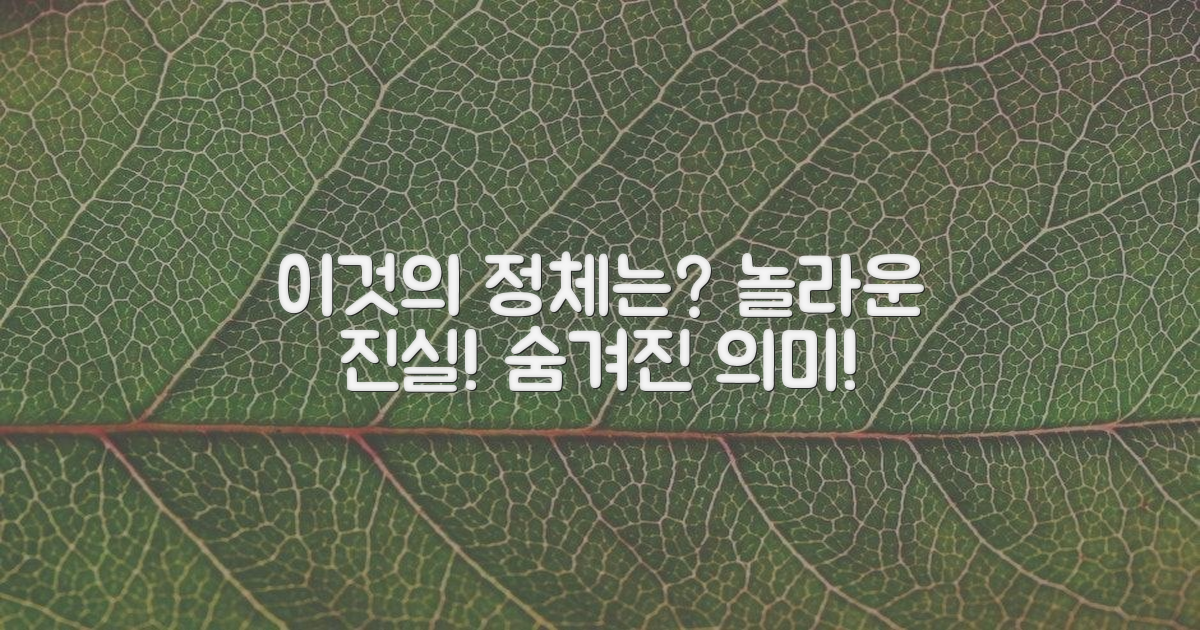 이것'은 과연 무엇을 의미하나?