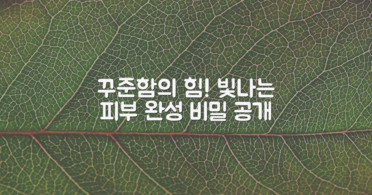 꾸준한 사용, 빛나는 피부 완성