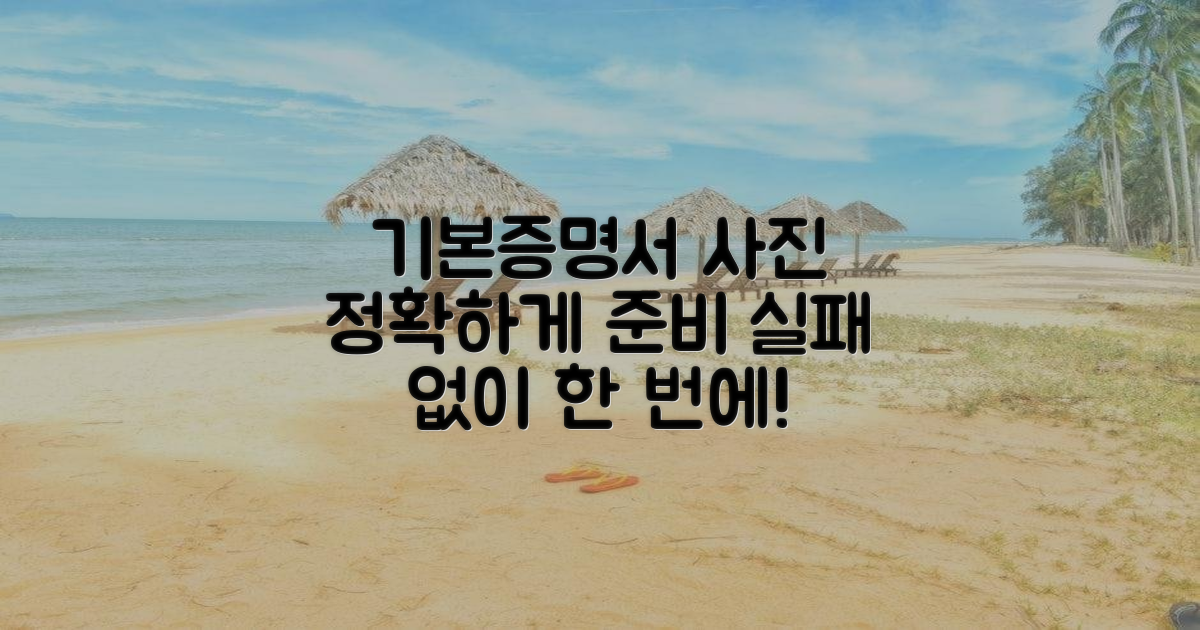 기본증명서 사진, 제대로 준비하세요