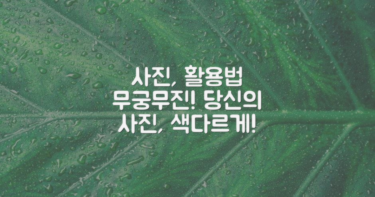 사진으로 활용법 넓히세요