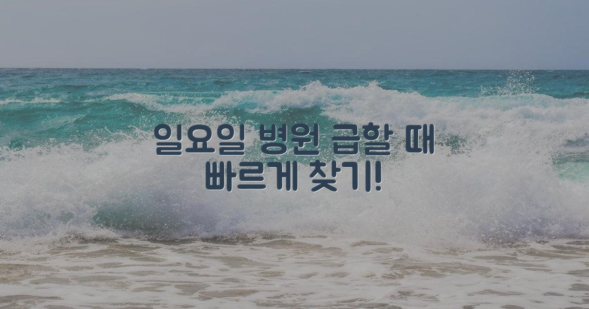 일요일 진료 병원 찾기