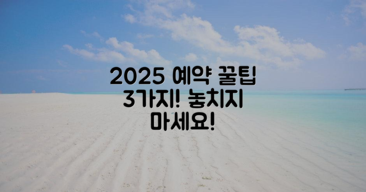 2025년 예약 꿀팁 3가지