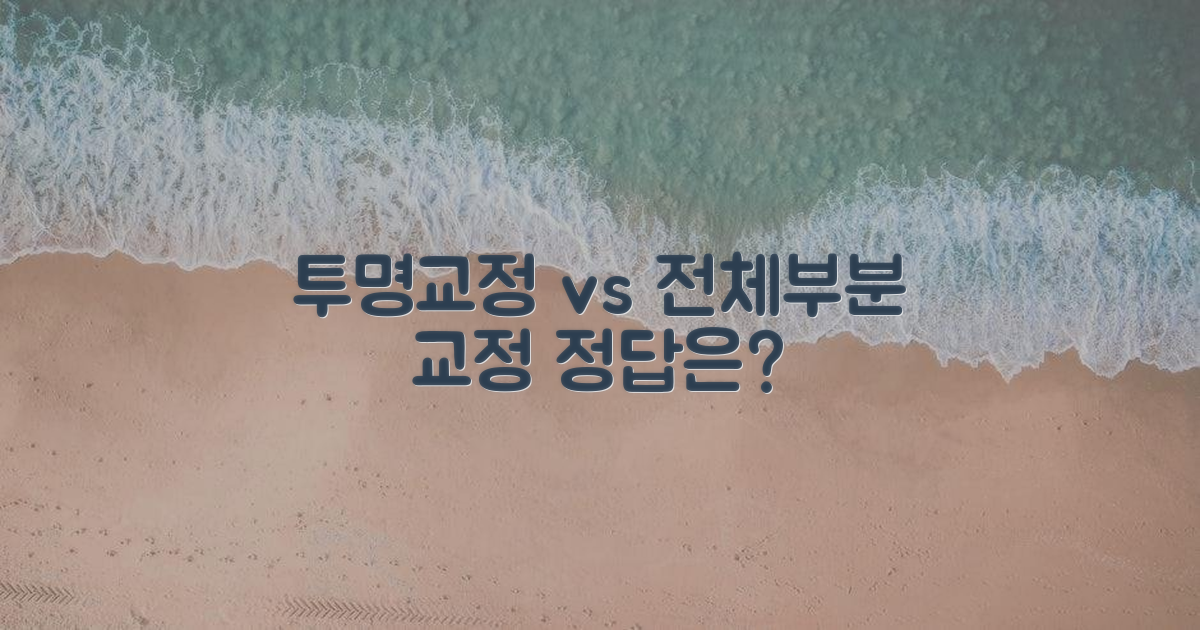 투명교정 vs 전체/부분교정.