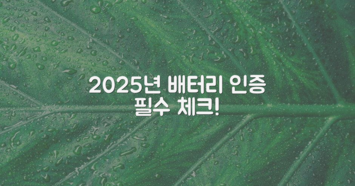 2025년 배터리 인증, 왜 중요할까?