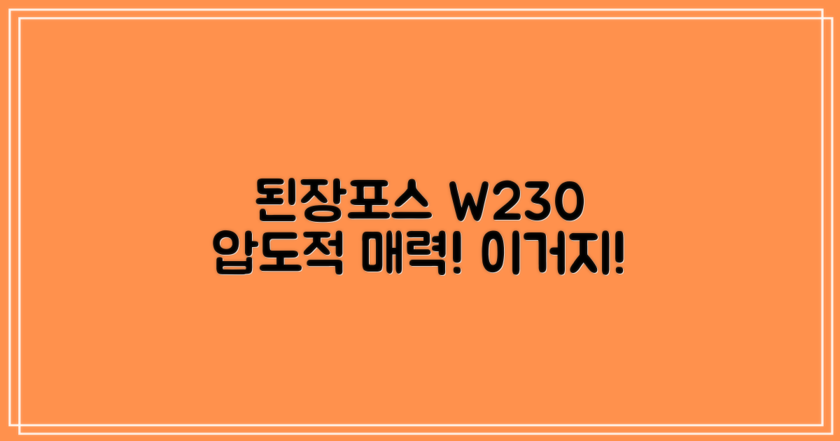 된장포스 W230, 어떤 매력일까?
