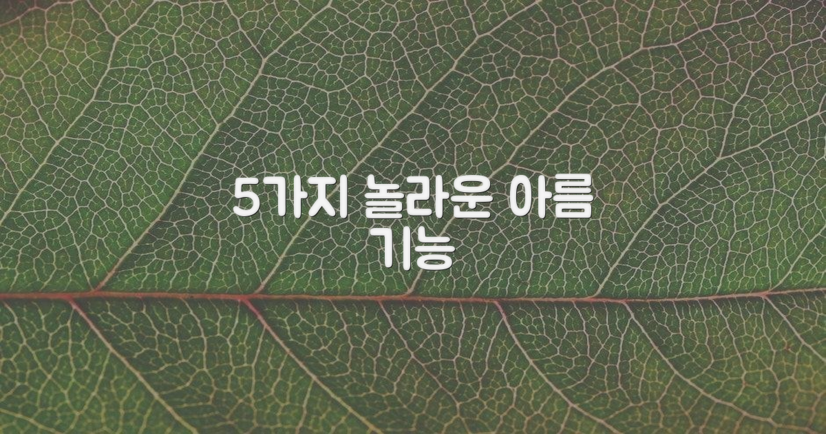 5가지 새로e아름 기능